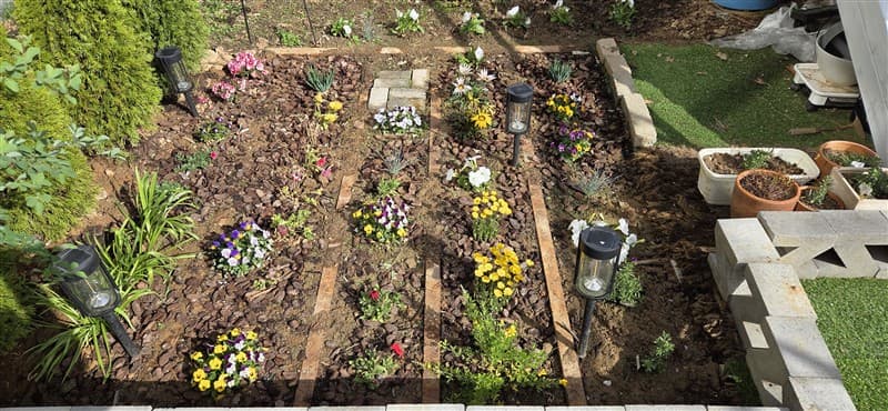 ギャラリー画像